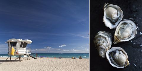 Vibrio vulnificus, открит на плажовете във Флорида (вляво) и сурови стриди.