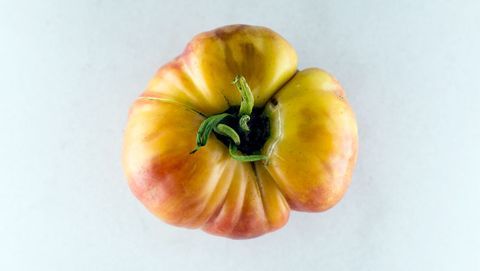 Лъки кръст домат