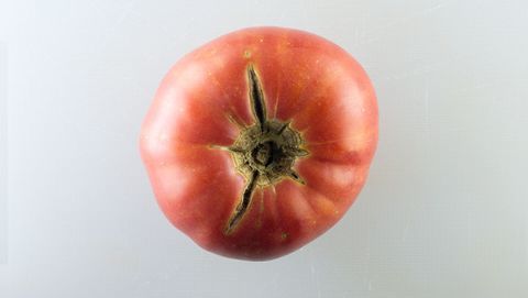 Brandywine домат