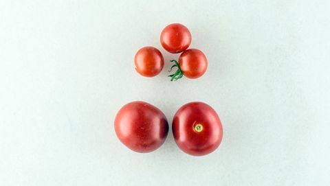 Мексико Джуджето домат